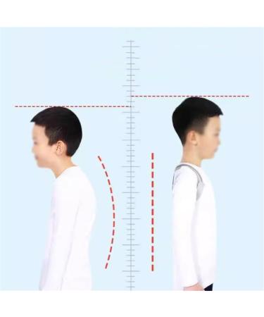 Buy Hchback Sitting Orthotics - Corrects Posture for Students | Anti-Hunchback Artifact | Large Size - Buy Online on GoSupps.com