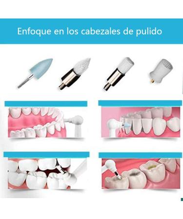 Electrical Tooth Plaque Scraper & Cleaner for Pets - 4 Polishing Heads 3 Modes - Pink - Buy Online on GoSupps.com