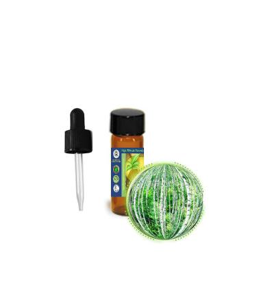 3.7ml (1/8oz) Birch Bud Essential Oil (Betula Pendula Silver European)