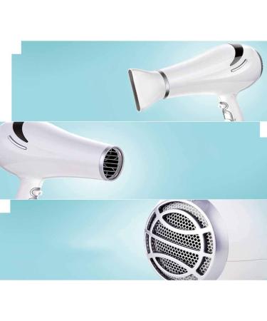 2200W Professional Hairdryer Hair Dryer Salon Hairdryer Ionic Blow Dryer Powerful Fast Drying 3 Heat 2 Speed 1 Cold Wind Button 2 Nozzles and 1 Diffuser Constant Temperature Less Hair Damage - Buy Online on GoSupps.com