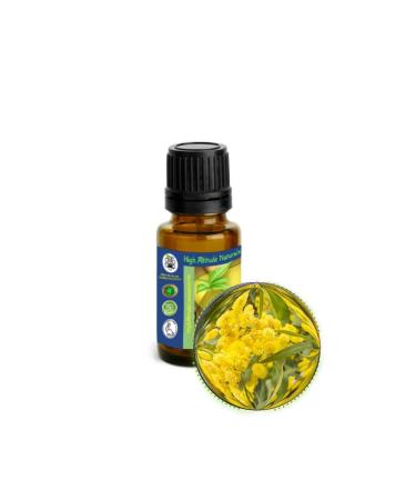 Cassie Sweet (Acacia Farnesiana) Absolute Essential Oil - Russian Mimosa (Mimoza) - Therapeutic Pure Undiluted Uncut - Aromatherapy Perfumery Cosmetics Skin Care Massage - 15ml (1/2 oz)