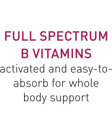 Natural Factors BioCoenzymated B Complex - 60 Vegetarian Capsules | Premium Energy Support - Buy Online on GoSupps.com