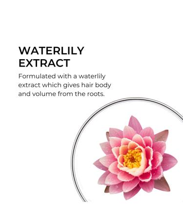 PHYTO VOLUME Volumizing Blow Dry Spray Instant Volume No Stiffness Heat Protection For Fine Hair Thin Hair Silicone Free 5.07 fl. oz New Pack - Buy Online on GoSupps.com