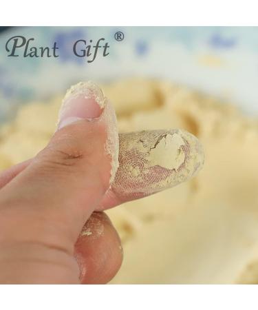 Plant Gift 100% Pure Hericium Erinaceus Powder Natural Lions Mane Flour for Drinks | Adds Flavor and Taste Non-GMO No Filler No additives 100G/3.25oz - Buy Online on GoSupps.com