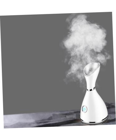 NOLITOY Facial Beauty with Humidification Hot Nano Face Steaming Hydrating Spray Instrument Household Us - Buy Online on GoSupps.com