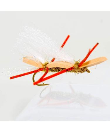 Outdoor Planet Fly Fishing Flies Assortment Set | Dry Wet Nymphs Streamers Wooly Buggers Hopper Caddis | Trout Steelhead Bass Lure Pack - 8 Chubby Chernobyl Ant - Buy Online on GoSupps.com