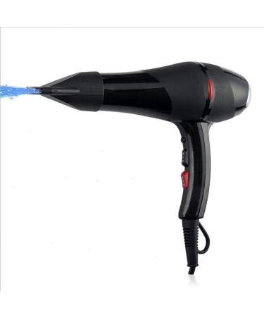 Hair Dryer Professional Hair Dryer 2000W Negative Ionic Hairdryer with 2-Speed and 3 Temperature Settings Cool Shot Function Powerful AC Motor Fast Drying Blow Dryer for Home & Salon Small Gift - Buy Online on GoSupps.com