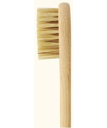 Eco-Friendly Biodegradable Toothbrush Set - Hard Bristles 4 Pack Sustainable Bathroom Essentials - Buy Online on GoSupps.com
