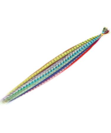 Feather Hair Extension Kit: 30 Synthetic Feathers with 100 Beads, Plier, and Hook - Buy Online on GoSupps.com