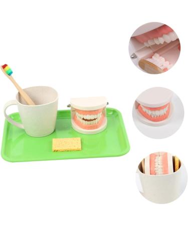 Shop Minkissy 1 Set Early Dental Education Toy - 3D Puzzle Tooth Model for Kids | Fun Role Playing Dental Care Toy - Buy Online on GoSupps.com