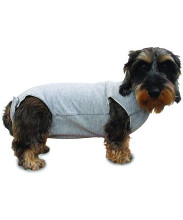 Fashion Dog Cura Pets Surgical & Health Bodysuit for Dogs & Cats - 39 cm | International Shipping Available - Buy Online on GoSupps.com