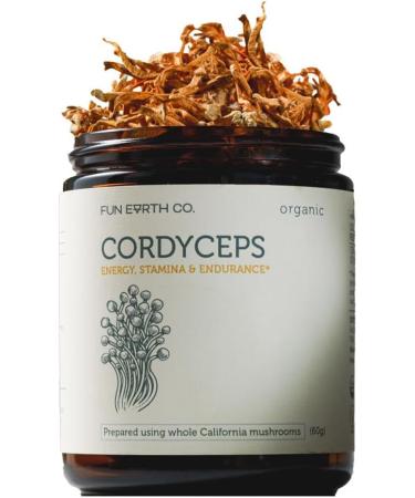 Fun Earth Cordyceps Powder Mushroom Supplement Immune Support Beta-Glucans Energy Stamina Digestive Health 2.12 Ounce Pouch 30 Servings Organic Non GMO Adaptogens | - Buy Online on GoSupps.com