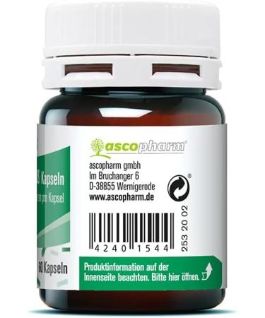 Lactokult Plus Capsules - 60 Count | 2 Billion Probiotic Bacteria + Inulin | Premium Dietary Supplement for Digestive Health - Buy Online on GoSupps.com