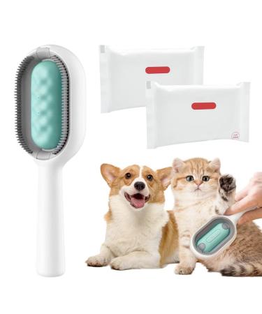 Animal hair removal ridge with water tank cleaning brush for animal hair with dry towels Essenzwerchente Katzenbr ste Dog brush pets Animal hair remover with water tankfor for remove hair with 2PCs dry towels short-haired green