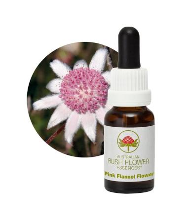 Pink Flannel Flower 15ml Stockbottle Australian Bush Flower Essences