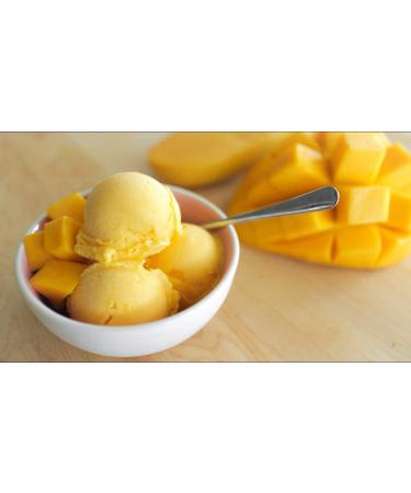 COMPRITAL 1.25 kg of Ice Cream or Sorbet with the taste of the Manche Product Ready for Ice Cream Complete Artisan Product with Ice Cream Handle - Buy Online on GoSupps.com