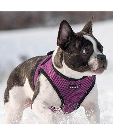 Puppia Dog Harness for Small & Medium Dogs | Soft Vest in Various Colors | Atani Train Tableware for Dogs - Purple - Buy Online on GoSupps.com
