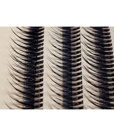 Scala 8-16mm C Curl Fish Tail Design 120pcs Individual False Eyelash Cluster Extension Tools - 14mm - Buy Online on GoSupps.com