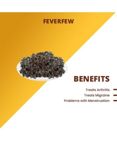 JEVR Feverfew Herb 100 g | for joint support - Buy Online on GoSupps.com