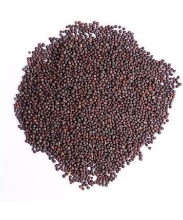 Seelans Mustard Seeds | 100G | Mustard Seeds for Cooking |Perfect for Pickling and Spice Blends |Gluten Friendly | Non-GMO | Vegan | Indian Origin (Pack of 2) - Buy Online on GoSupps.com