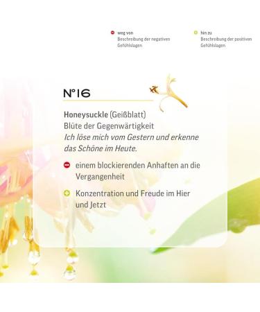Original Bach Flower Drops No. 16 Honeysuckle - Organic & Vegan Remedy | Lemon Pharma - International Shipping Available - Buy Online on GoSupps.com