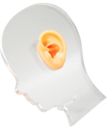 Ear Display Mould Lifelike Soft Fake Ear Model Professional Silicone Flexible for for Hospital - Buy Online on GoSupps.com