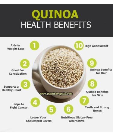 nalAmudhu White Quinoa Grains | Gluten-Free | High Protein & Fiber | Ideal for Breakfast Cereal Pilafs Soups & Salads | Nutritious and Delicious Diet Food 454g | 1Lbs | 16Oz  - Buy Online on GoSupps.com