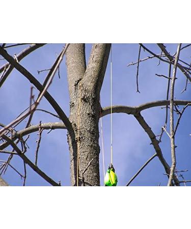 THORIUM Outdoor Slingshot Launcher Arborist Throw Weight Bag - Bright Green 16oz / 450g - Buy Online on GoSupps.com