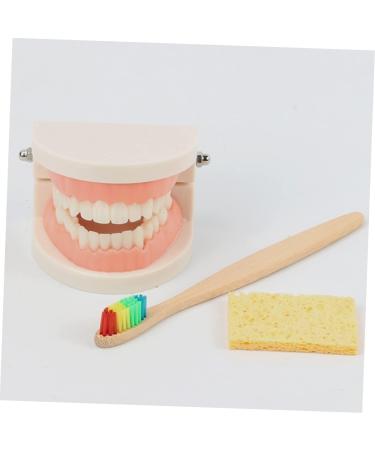 Tovinanna Early Dental Education Toy - Brushing Role-Playing Model for Kids | Reusable Wooden Dental Practice Set | Engaging Learning Toys for Children - Buy Online on GoSupps.com