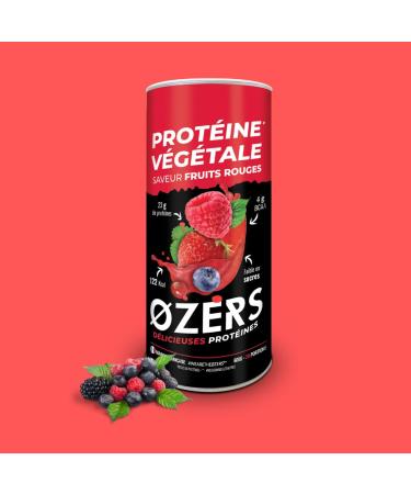 Ozers Red Fruit Vegetable Protein / 4 Sources: Peas, Bean, Rice, Squash / 78% Protein / 4g BCAA/Low Sugar/Smooth Texture No Lumps/Natural Flavor/600g / Vegan/French
