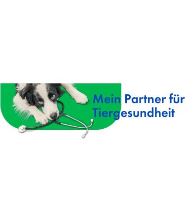 CP-Pharma B-Vit Complex Tablets for Dogs & Cats | 100 Tabs | Essential B Vitamin Supplement | Supports Health & Wellness - Buy Online on GoSupps.com