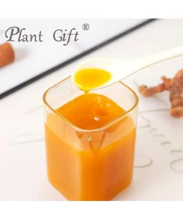 Plant Gift 100% Curcuma Turmeric Powder 100G/3.25oz Non-GMO Powder No Filler No additives Natural Ginger Flour Adds Flavor and Taste Great Flavor for Drinks 2UK-PO0083 - Buy Online on GoSupps.com