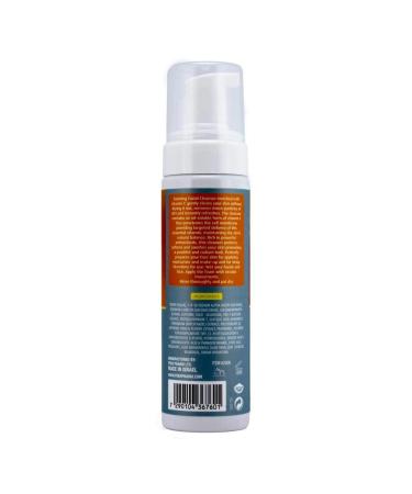 Frulatte Anti Aging Foaming Face Cleanser with Vitamin C & Aloe Vera - Gentle Daily Face Wash for Oily & Sensitive Skin - Buy Online on GoSupps.com
