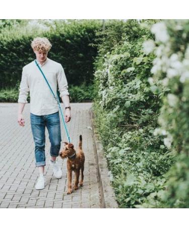 HUNTER HILO Adjustable Dog Leash Light Mesh 2.5 x 200 cm Turquoise | Shop Internationally - Buy Online on GoSupps.com