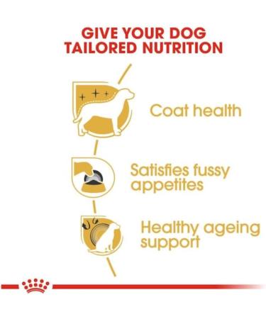Royal Canin Yorkshire Terrier Adult | Pack of 3 | 3 x 500 g | Dry food for Yorkshire Terrier Adult | From 10 Months | to Help Age Healthy - Buy Online on GoSupps.com