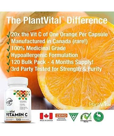 PlantVital Vitamin C 1000mg MAXIMUM STRENGTH. 120 Vegan Capsules Canadian Made Vit C Supplements helps support immune system collagen & connective tissue formation maintenance of bones teeth & gums (1 Bottle) 120 count (Pack of 1) - Buy Online on GoSupps.com