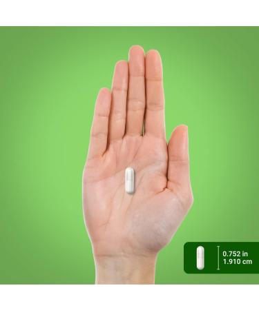 Piping Rock Probiotic Acidophilus Capsules for Women and Men | 3 Billion Live Cultures | 120 Pills | 14 Strains Supplement | Non-GMO Gluten Free - Buy Online on GoSupps.com