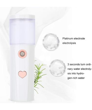 Pulv risateur d'hydratation du visage brumisateur portatif pour le visage portable 30 ml pour l'hydratation de la peau(blanche) - Buy Online on GoSupps.com