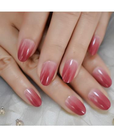 Coolnail Gradient Ombre Pink French False Nails - Oval Round Press On UV Fake Nail Tips with Glue Sticker | Daily Office Finger Wear - Buy Online on GoSupps.com
