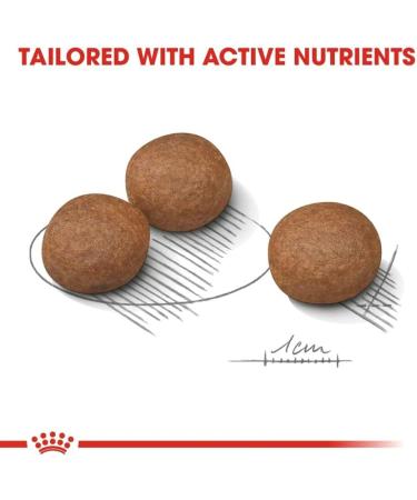 Royal Canin Medium Digestive Care Dog Food 3kg Variety 3 kg (Pack of 1) - Buy Online on GoSupps.com