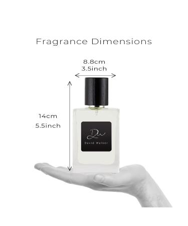 David Walker Rose Musk Fragrances | Original Fragrance | London Black Edition | Long lasting perfumes for men | Rose Wooden White Musk | 50ml / 1.7Oz (Pack of 1) - Buy Online on GoSupps.com