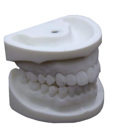 Standard Teeth Model Dental Tooth Extraction Practice Model Detachable Oral Soft Gum White Steel Jade Tooth Model Teaching Tool