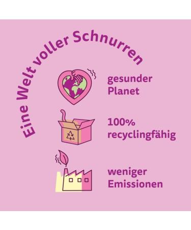 Buy Whiskas Adult 1+ Dry Cat Food - Beef 5x800g Packs | Premium Drying Cat Food for Adults - Various Packaging Options - Buy Online on GoSupps.com