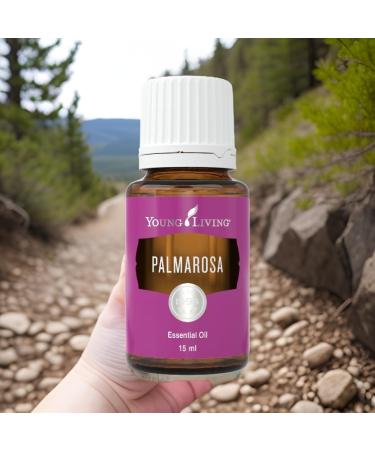 Young Living Palmarosa Essential Oil 15ml | Aromatherapy for Healthy Skin & Tranquil Atmosphere | Rejuvenating Diffusion Blends - Buy Online on GoSupps.com