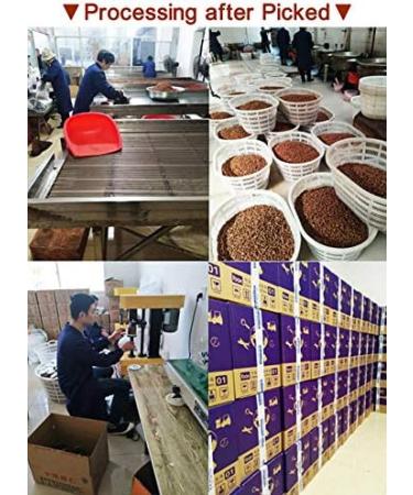 Chinese Walnut Kernels Fresh Peeled Linan Mountain Walnuts Kernels Walnut Meat Net 160g (Original) - Buy Online on GoSupps.com