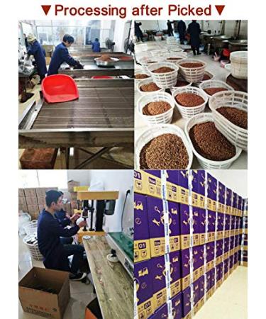 Buy Chinese Peeled Walnuts - Fresh Lin'an Walnut Kernels 170g | Creamy 1 Pack - Premium Quality - Buy Online on GoSupps.com