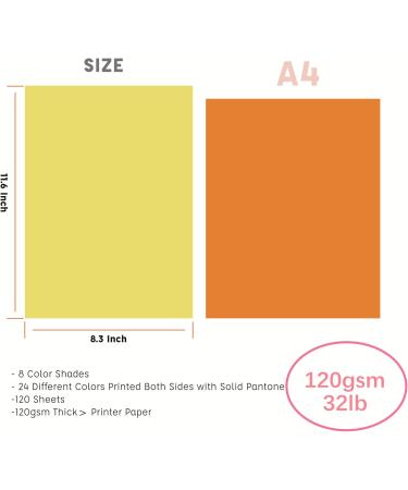 Livholic 120 Sheets Colored Card Stock Printer Paper  120gsm 32lb 24 Colors Pastel Construction Paper for Kids Scrapbook School Office Printing DIY Craft (120GSM) - Buy Online on GoSupps.com