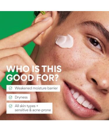 innisfree Green Tea Seed Hyaluronic Acid Cream with Skin Barrier Boosting Complex & Ceramide Hydrating Korean Face Moisturizer Available in Sets & Jumbo 1.69 oz. / 50 ml - Buy Online on GoSupps.com