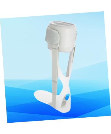 Buy FRCOLOR Night Splint for Plantar Fasciitis | Fixed Support Plantar Brace for Right Foot | Orthotic Foot Support | 33x24.5cm Grey - Buy Online on GoSupps.com