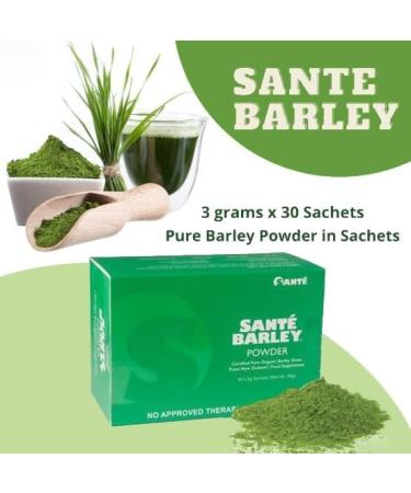 Buy Sante Barley New Zealand Organic Barley Grass Powder Juice with Stevia - 30 Sachets (90g) for International Shipping | Pure & Natural Health Supplement - Buy Online on GoSupps.com